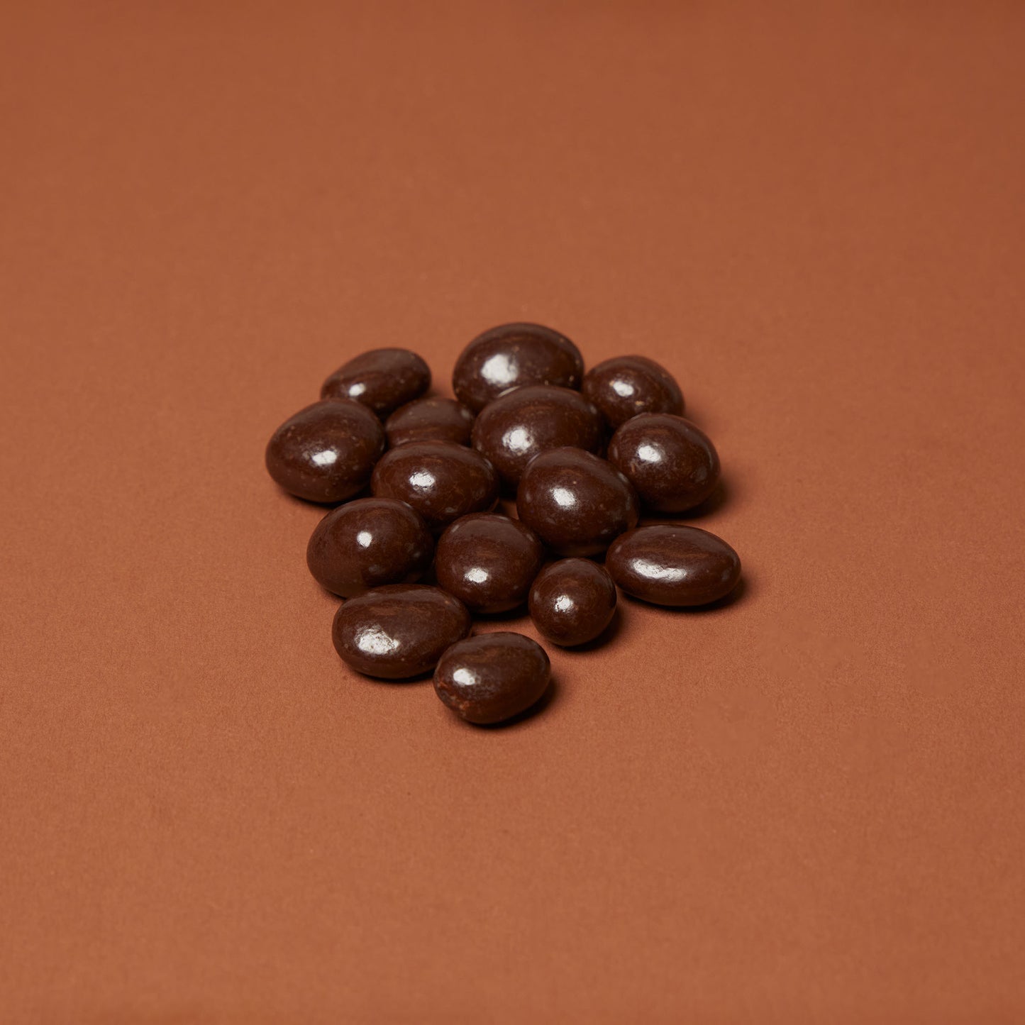 Chocolate Covered Raisins